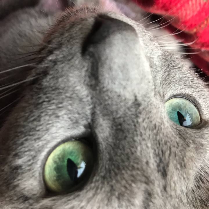 6f12e728 0c1f 4a31 8ab3 97ba5162c74a 1554538442849