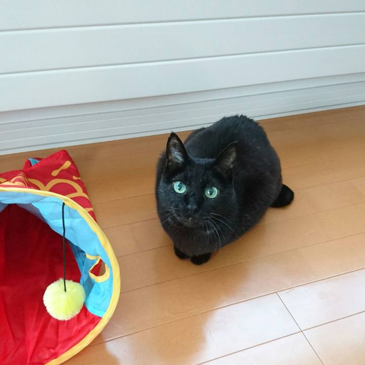 6f12eb50 e19d 47b1 a4c5 d90615604ee6 1514677104276