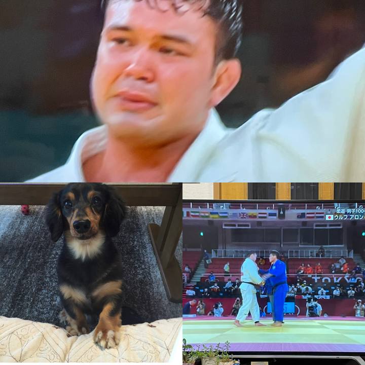 6f132913 7015 4c51 9f09 89ce32bef5f1 1627553756379