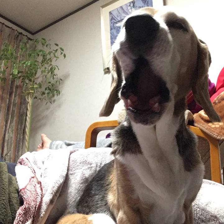 6f132a44 6aa4 4c36 968c c0a1cd88bb0e 1514731825479