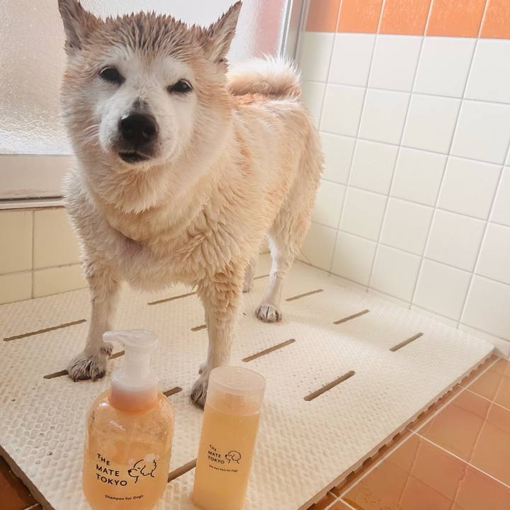 6f132c2b ceb8 4c23 aca5 5e2d5458d32f 1738305165237