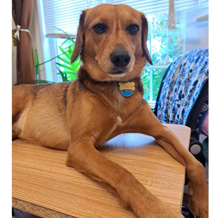 6f132d9c 0123 46cf af43 ec4260f97cdb 1758849822906