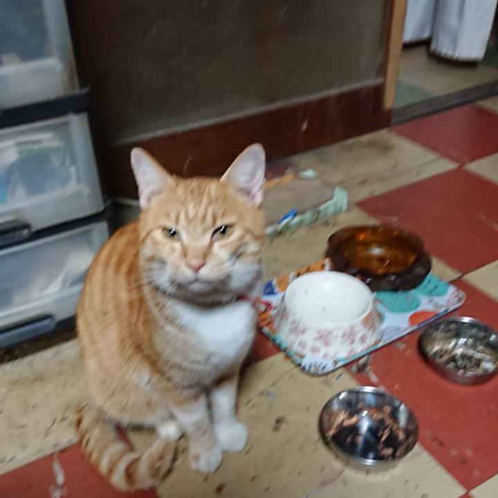 6f134324 ed16 4ca0 a6a2 c0e57baa9ec4 1574067797267