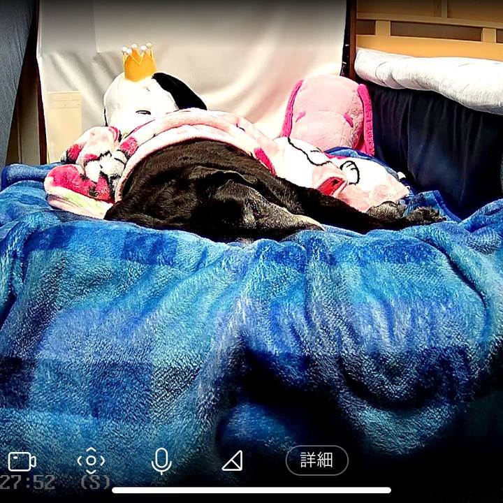 6f136df4 543a 4c65 81b3 afb4ffd728c5 1741837843897