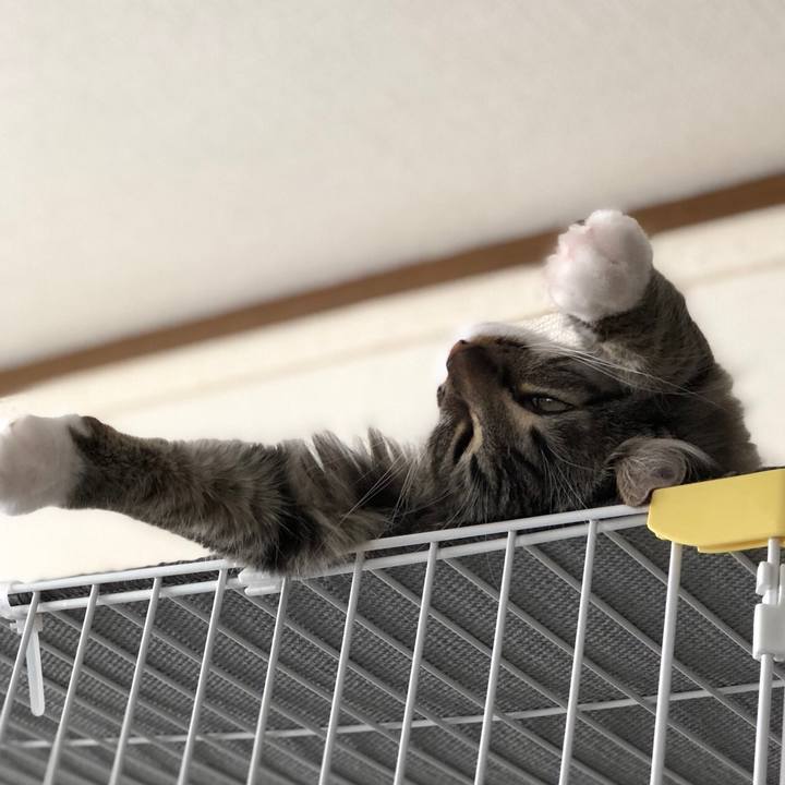 6f13846d 3669 4e08 bb61 42d3b2ee4080 1528354808325