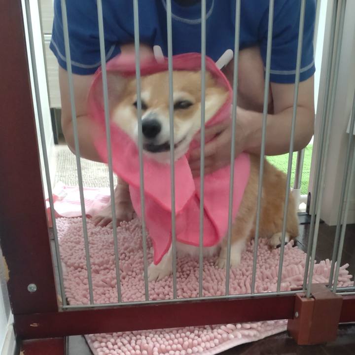 6f138845 ca5f 4a74 ba7c 3b6551db17f7 1660914715158