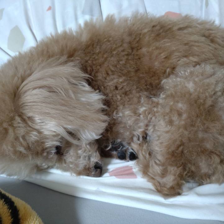 6f13d936 3117 4586 8cf1 0ef210877d98 1672809333039