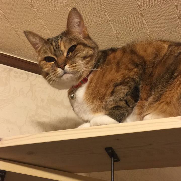 6f1422a0 4a17 44a6 92fa 4772b6843b69 1550999680593