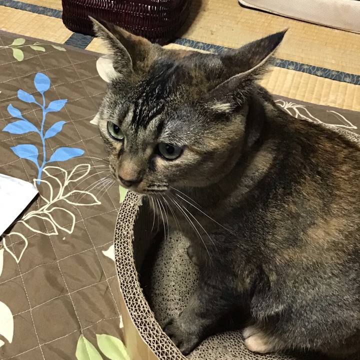 6f143766 2729 4bfa 904d 6437923392e8 1728096520793