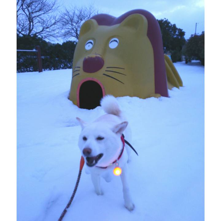 6f143f96 3aab 4f32 9f62 ef43a2ffe599 1548579448445