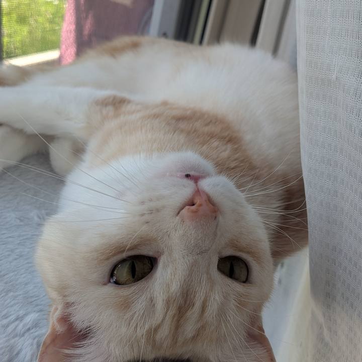 6f149e69 9985 4aff 9339 68272c8f0e7f 1749819136681