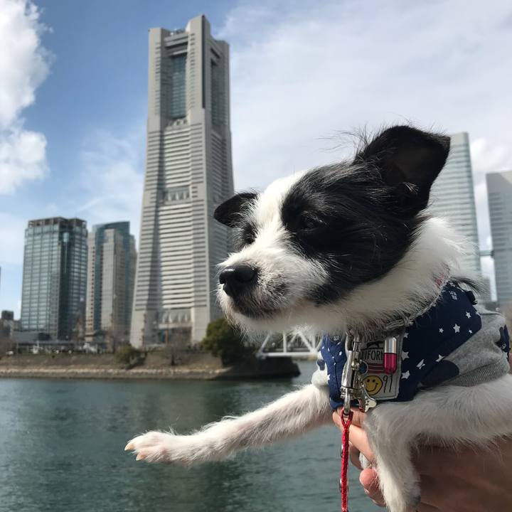 6f14a380 e8dd 4c0f 9dbb bbb8d1b56948 1521377624322