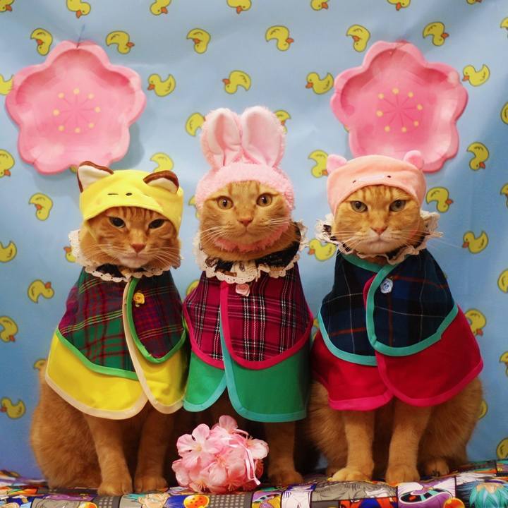 6f14b553 7225 4241 abb9 6f9c874510e6 1614850051287