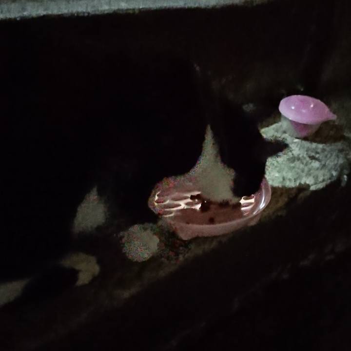 6f14cdbb 9382 44af bf78 35f469feb486 1693972610826