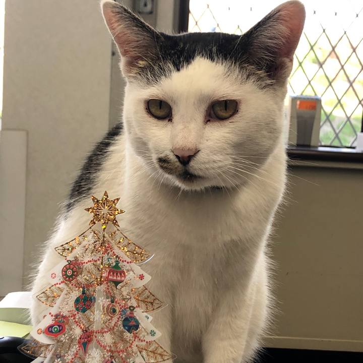 6f14ed97 0679 463d 99ab a65511157285 1574667429419