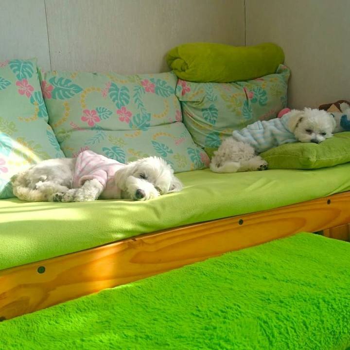 6f14f1a4 5435 44d5 9eb4 16701ccda465 1519455315417