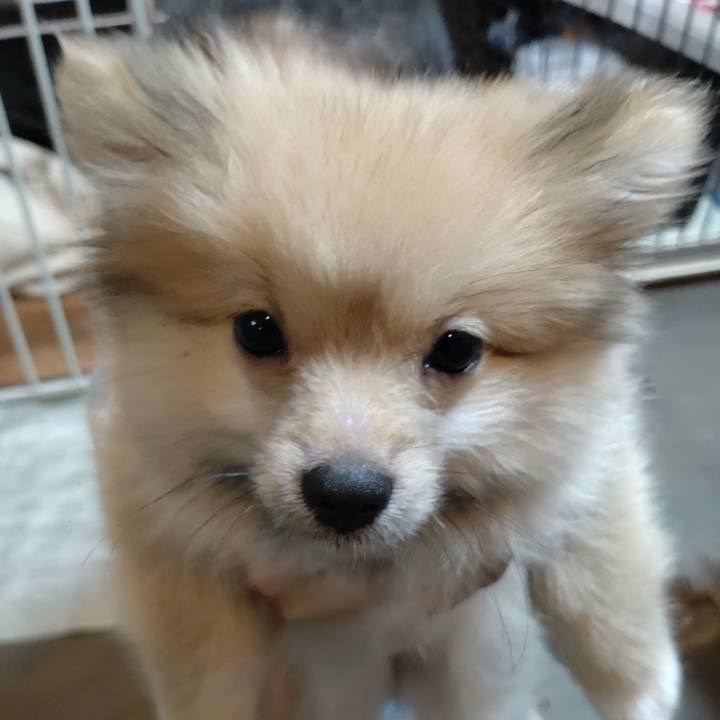 6f151ca7 775d 45b8 bd72 0133f0c445e3 1722332493413