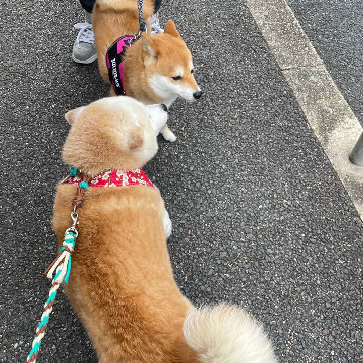 6f156a26 3d7e 44c8 ae82 5e730ea0d7eb 1645254223571