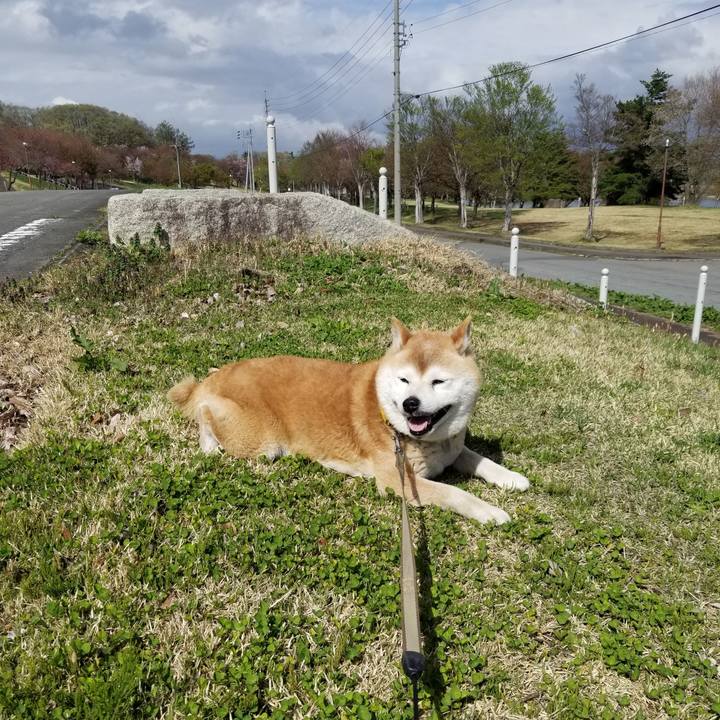 6f158c77 420f 438e a2dd 5d1a4b93f13e 1681622865152