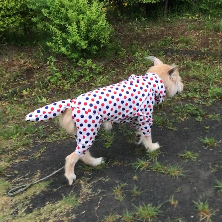 6f15a6ca 14e2 46cf a430 d04974bf46bd 1619783384702