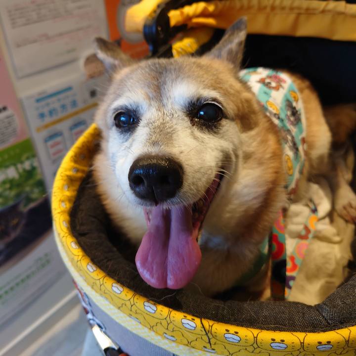 6f15e98f 6af8 4ed5 9a01 5ade3d1da046 1693218016618