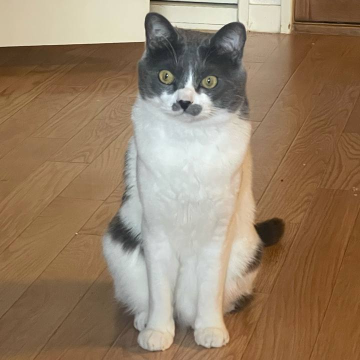 6f160535 eaca 49ab 9532 9f873eb2eec6 1647305755101