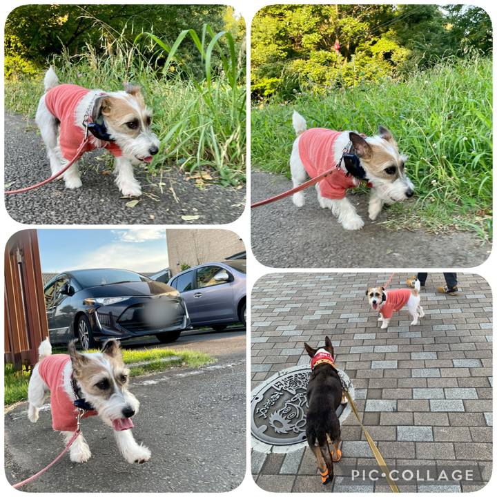 6f169d3c 97e3 4b1d a960 694fcc472475 1626957209103