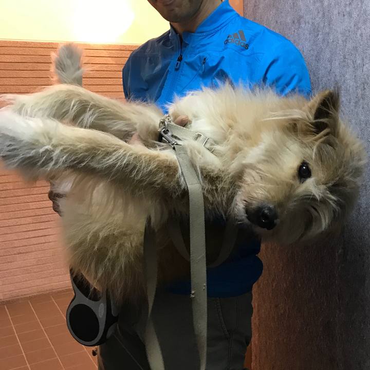 6f16f31f 9564 451d 83c6 e098a4553a2e 1541893572205