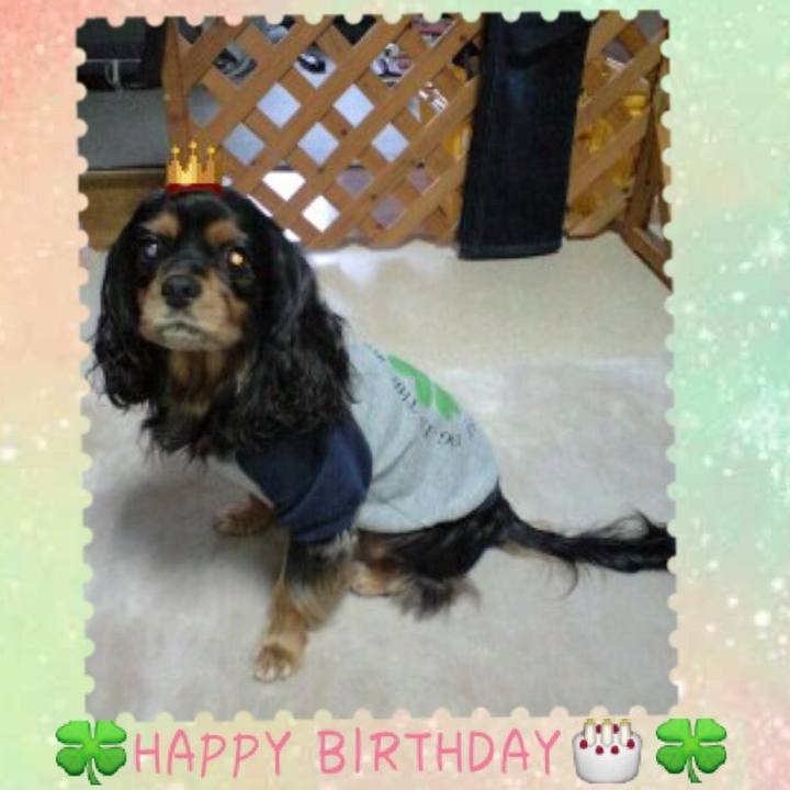 6f173061 5244 46f9 b4ae 70b7758baf8a 1525559978106