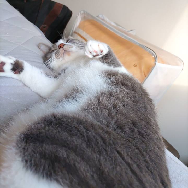 6f17780c 24af 4513 b54c 034aee682102 1687298555615