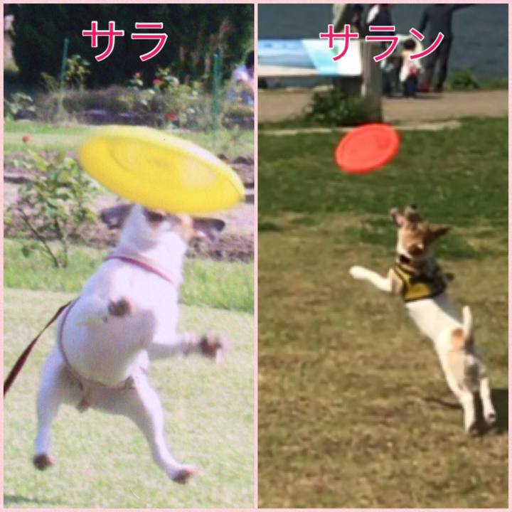 6f17cde7 25a9 4789 998f d6176bc325cd 1556847199790