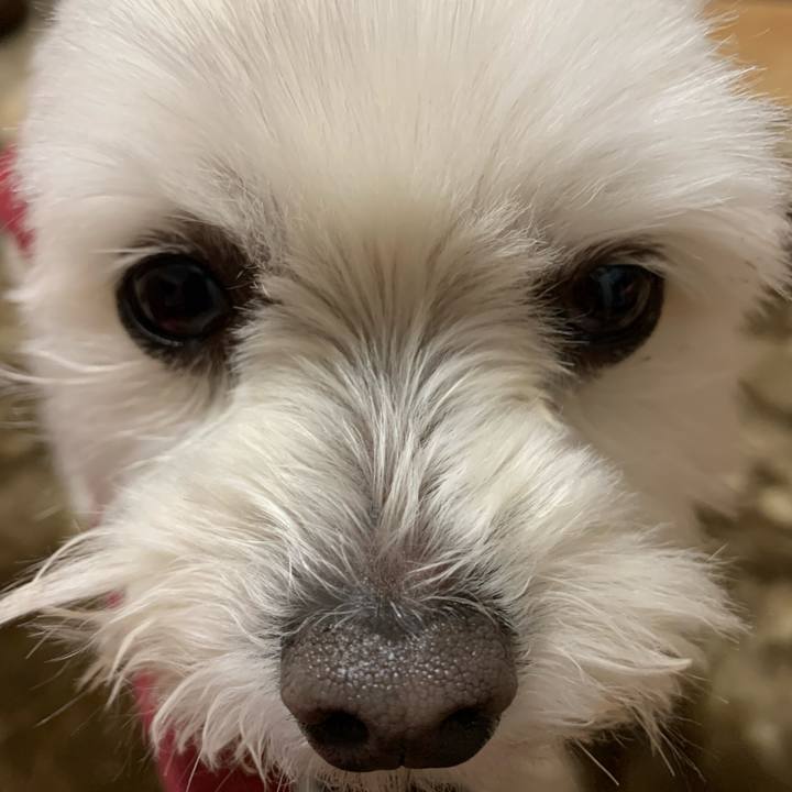 6f17ce39 5717 4822 ab77 cee66605d24e 1643440880671