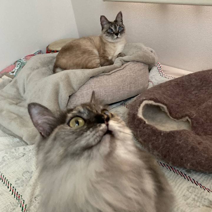 6f17dd51 fd14 4ed5 888d 5a257408b48d 1744620965850