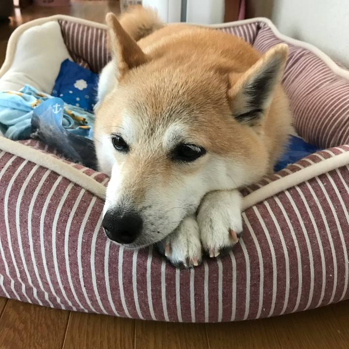 6f17e623 9ffa 46a5 aaff 60c7d1817013 1531197152969