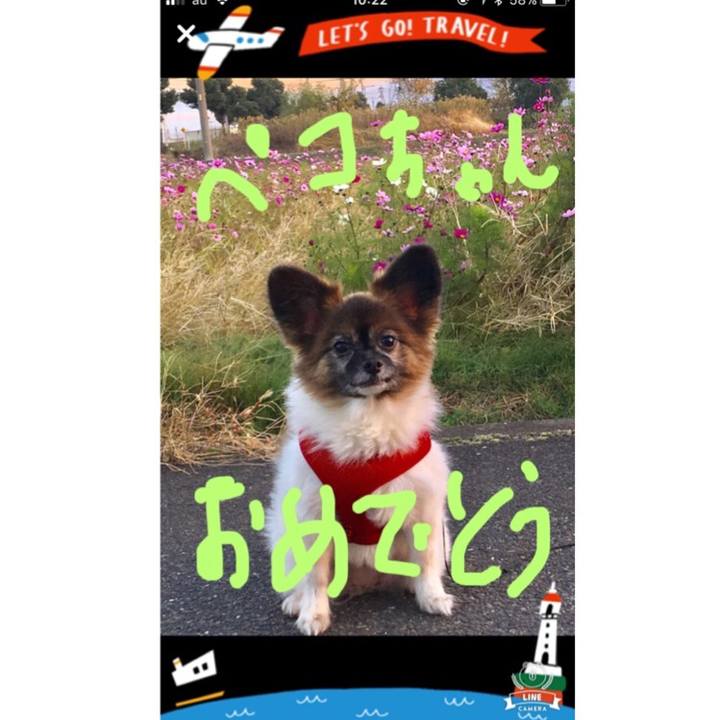 6f18057a a78f 4893 b013 6ff3163fddbc 1514511010513