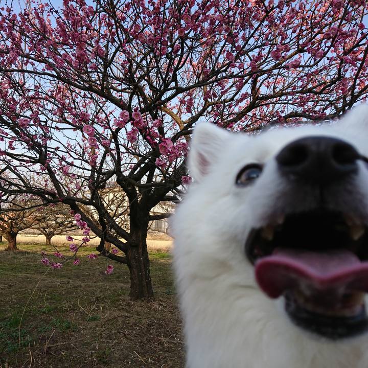 6f18266f 9cca 41c9 ba00 36df3fd63c6a 1613806097751