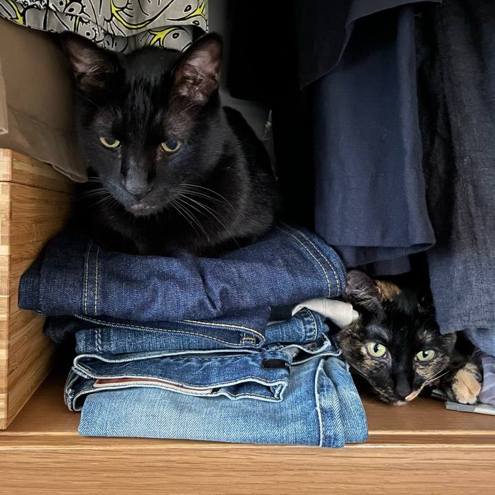 6f182d87 c89b 4ec5 8b28 ede7221f96d2 1660025425550