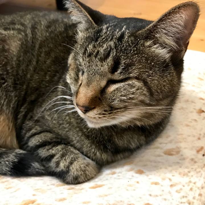 6f183dce 5582 484e 9973 d0ff029143dd 1554167773967