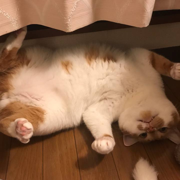 6f1846b0 b3ec 43a9 a76d 2d407db80a15 1560687479753