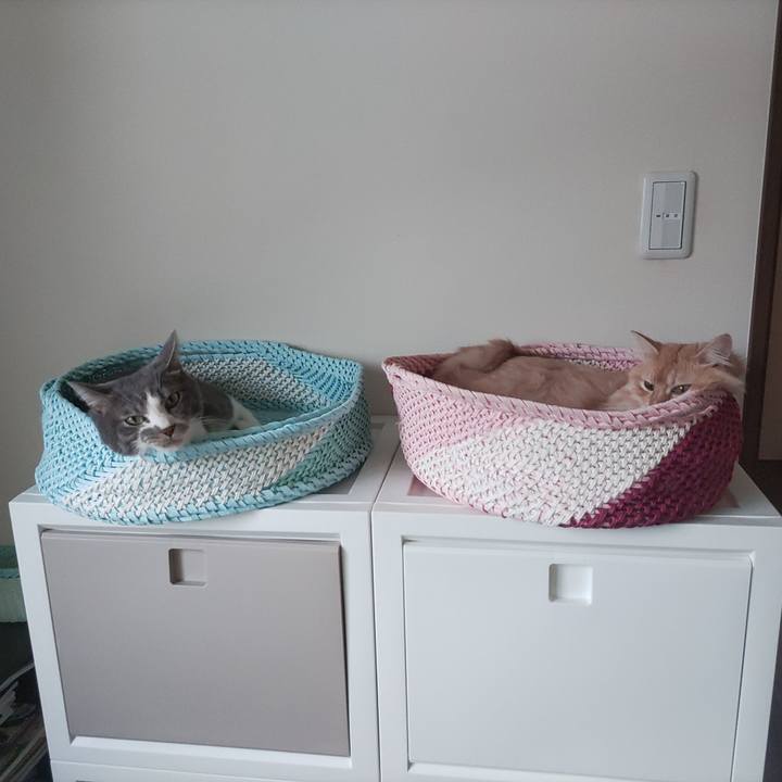 6f186033 74f8 4d38 bbaf 5a6449b6c9ee 1659865833011