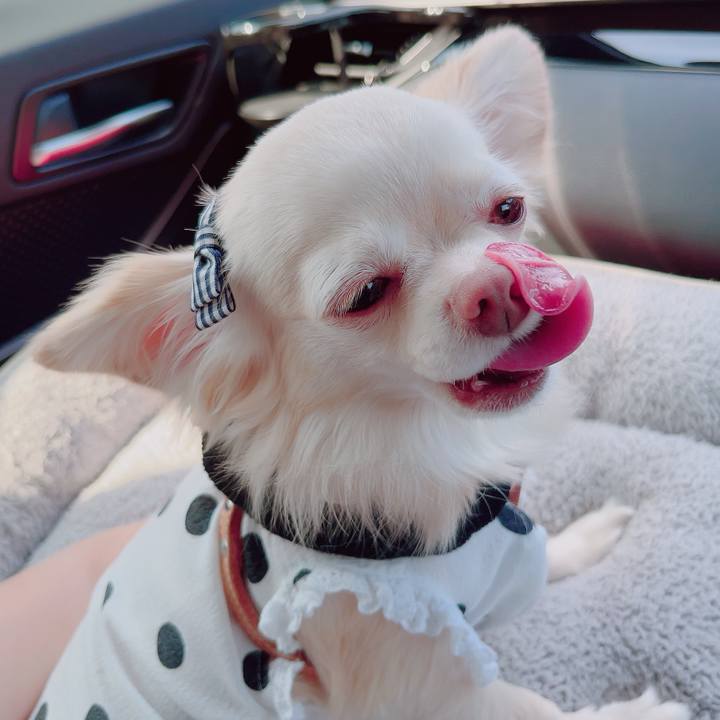 6f1867d2 4695 44cf 8121 cf939357e0e9 1692427231395