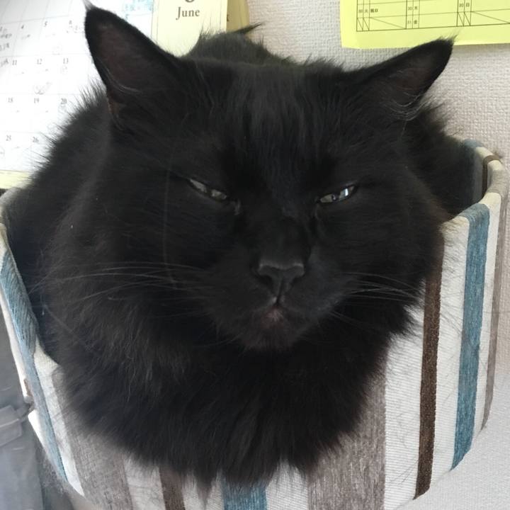 6f187ec4 17be 4a40 be43 f06116ab713e 1560823185209