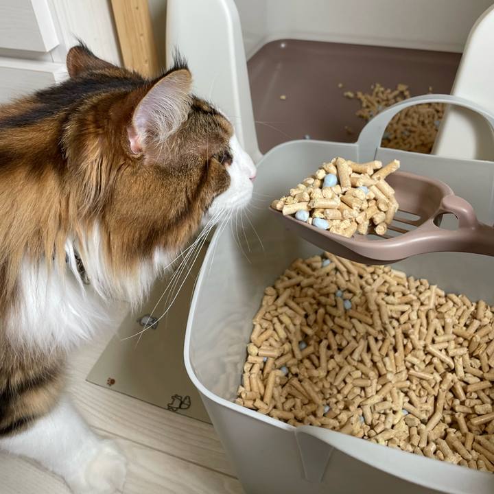 6f18c8d5 7caa 40c8 9e1e c7f2c9569943 1654401757483