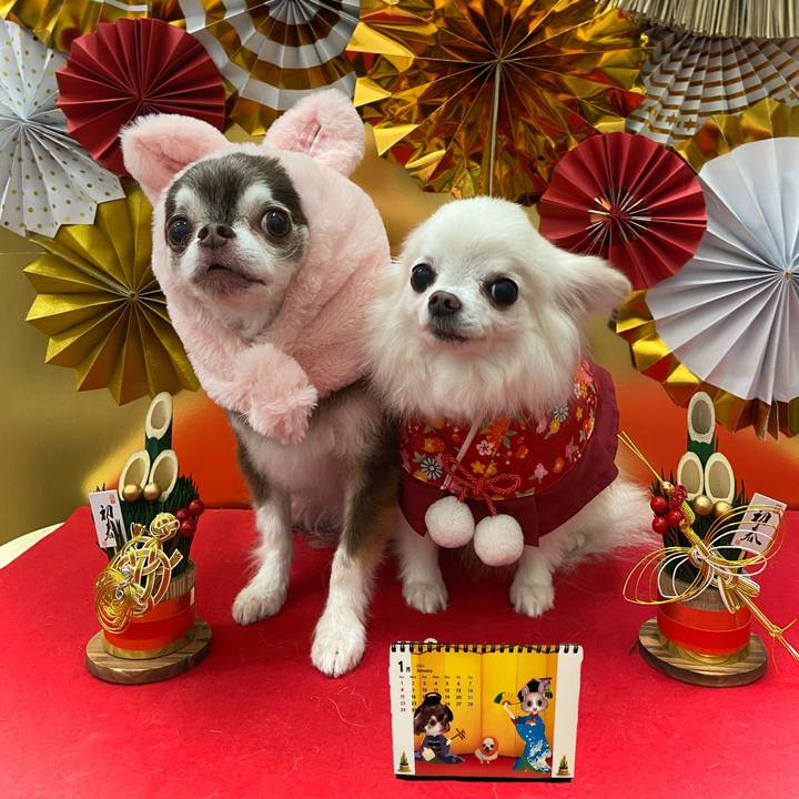 6f18d5b7 da25 4842 b142 78b6f635508c 1672535594410