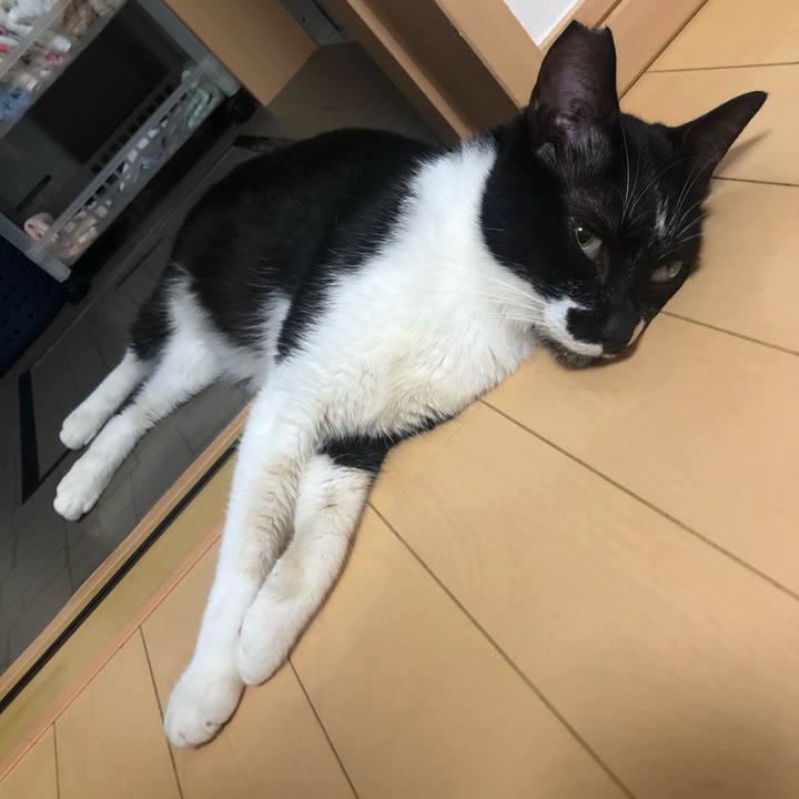 6f19258f 3389 45f0 9aab 3b5db6d29c2d 1597782649620