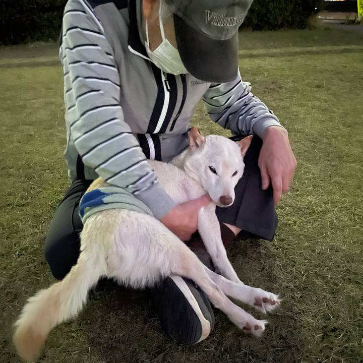 6f192f8f 86da 4f26 a8c0 6eb39fb16637 1668509282138