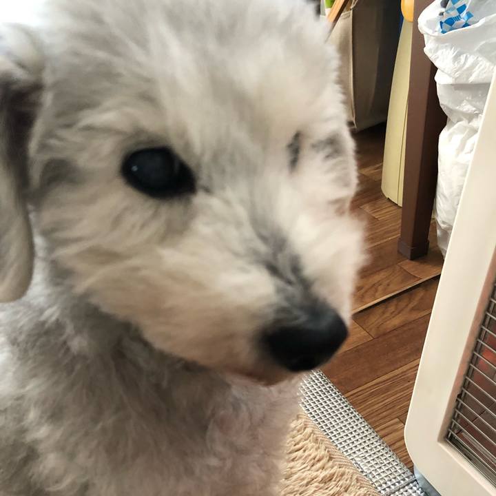 6f1936ed a1ab 407e 979f f3368f641f0d 1642032471198