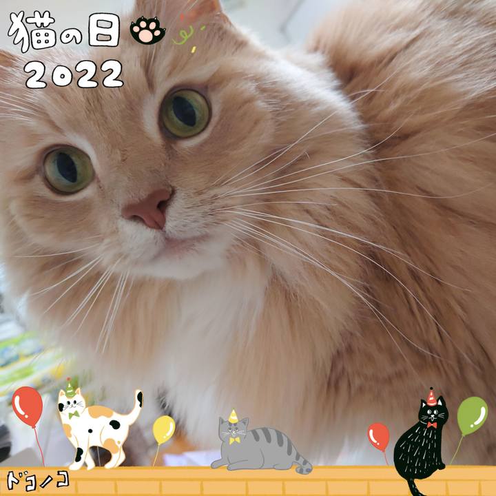 6f194cc4 b8f2 412a ab36 a2b3270d666c 1645523776211