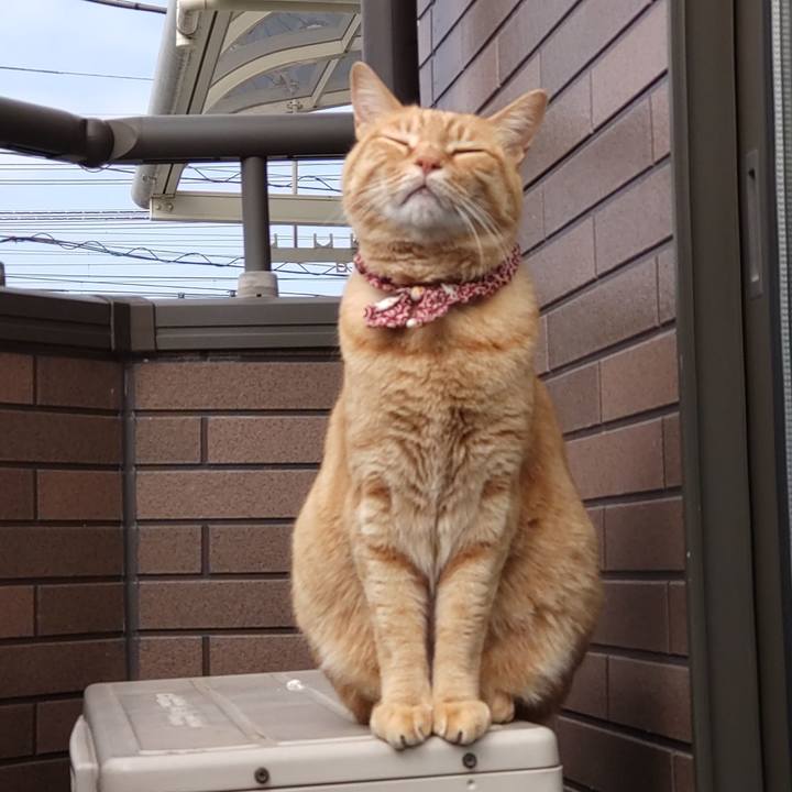 6f195d9a c52b 4a97 9638 d00152dac088 1648626948132