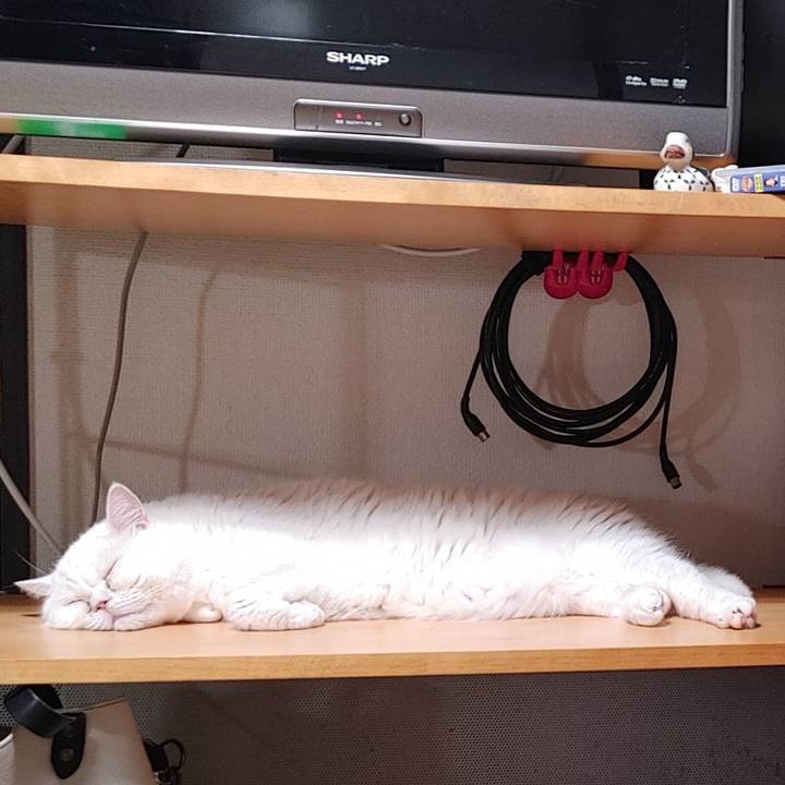 6f1970aa 6095 4d4f b2f2 3a1bbcbcd789 1628427815254